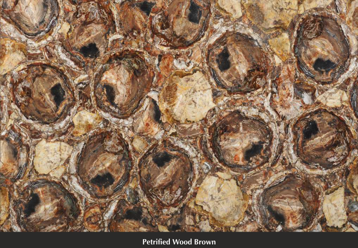 Petrified Wood Brown